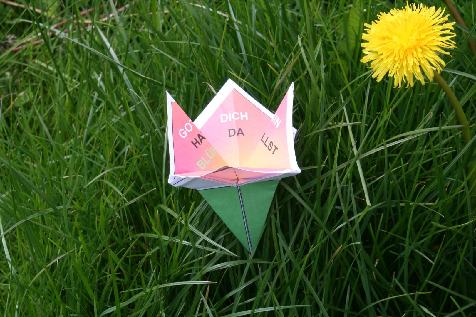 Oase am Freitag in der St. Franziskuskirche