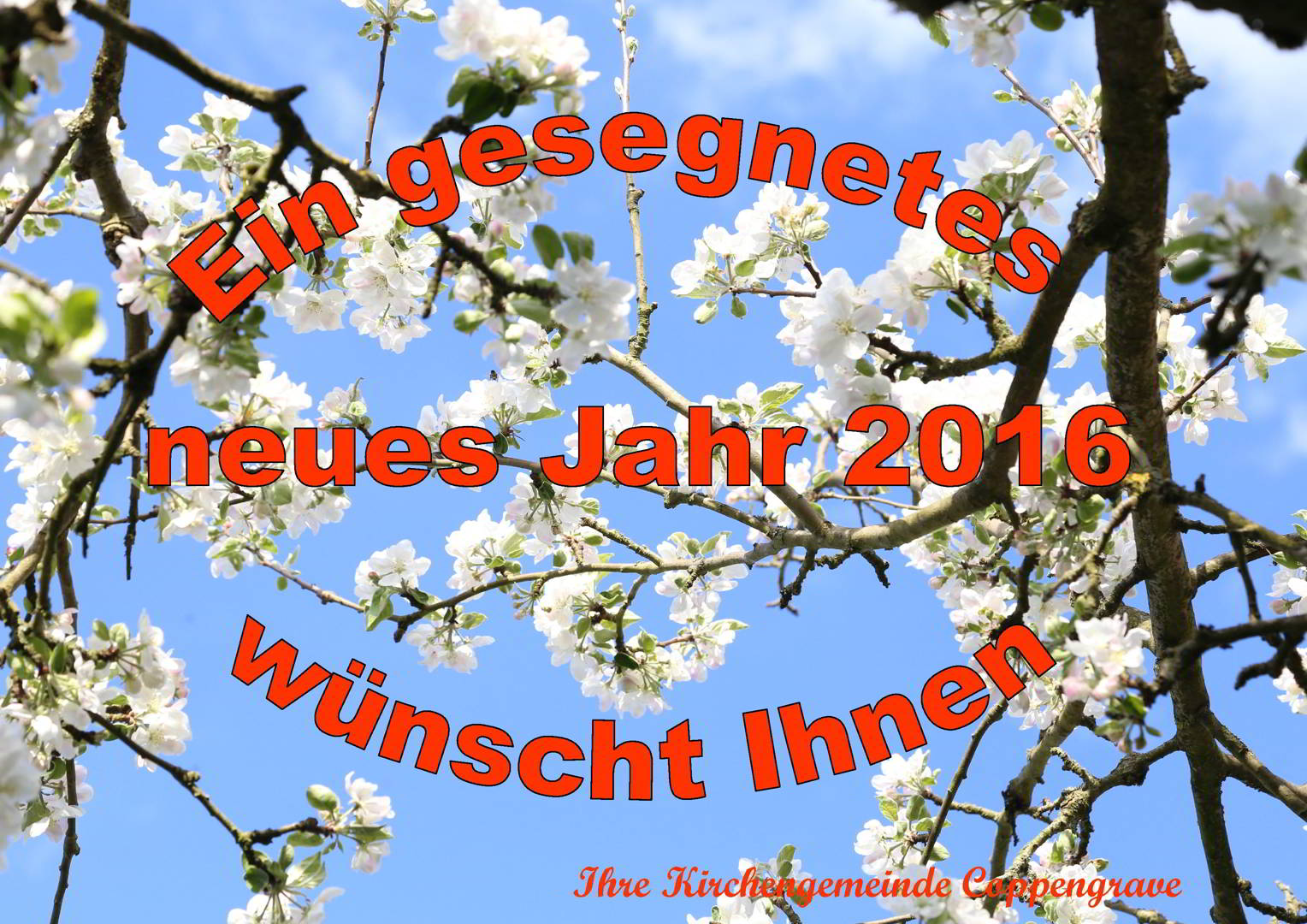 Ein gesegnetes neues Jahr 2016