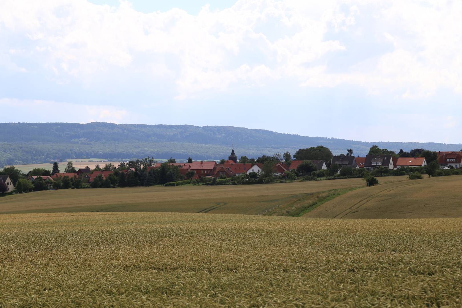 Taufengelwanderung mit Superintendentin Katharina Henking von Lechstedt nach Heinde