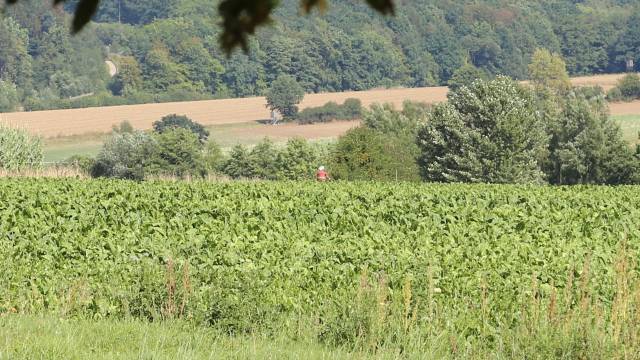 Gottesdienst zum Abschluss des Dorffestes in Fölziehausen.