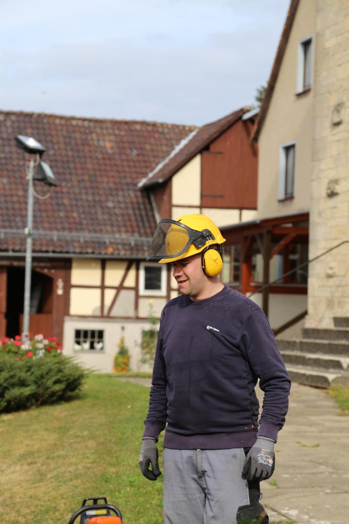 Konifere vor St. Franziskuskirche gefällt