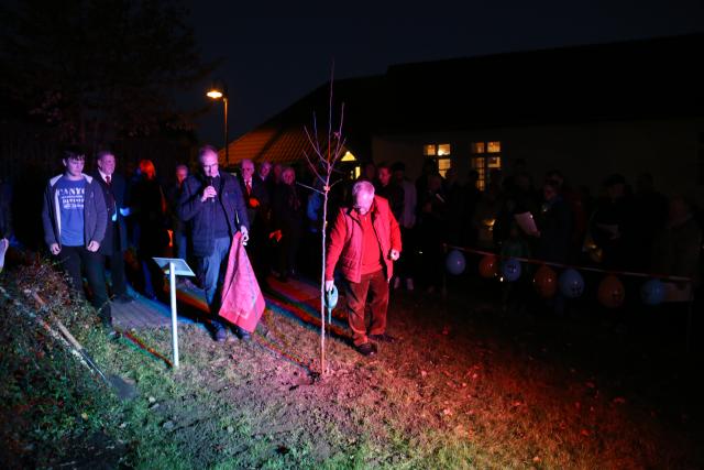 Pflanzen eines Apfelbaumes zum Lutherjahr vor der St. Katharinenkirche