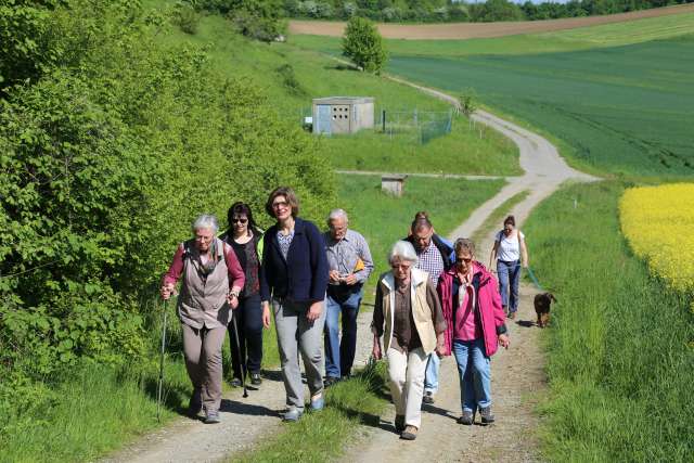 Pilgertag