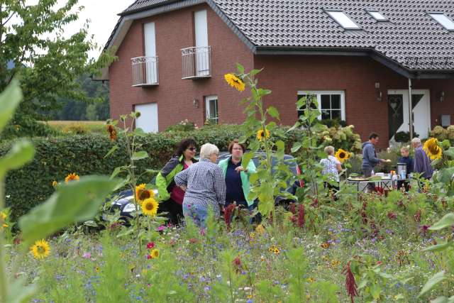 Coppengrave "blüht" auf - Blumenwiese