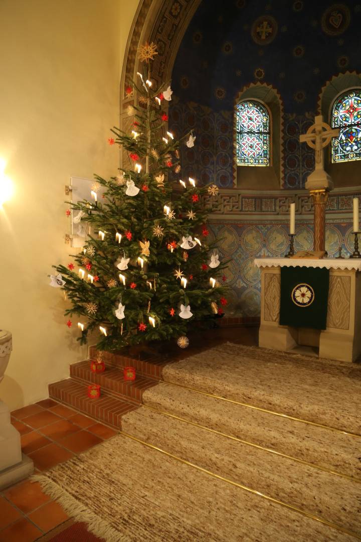 Aufstellen des Weihnachtsbaumes