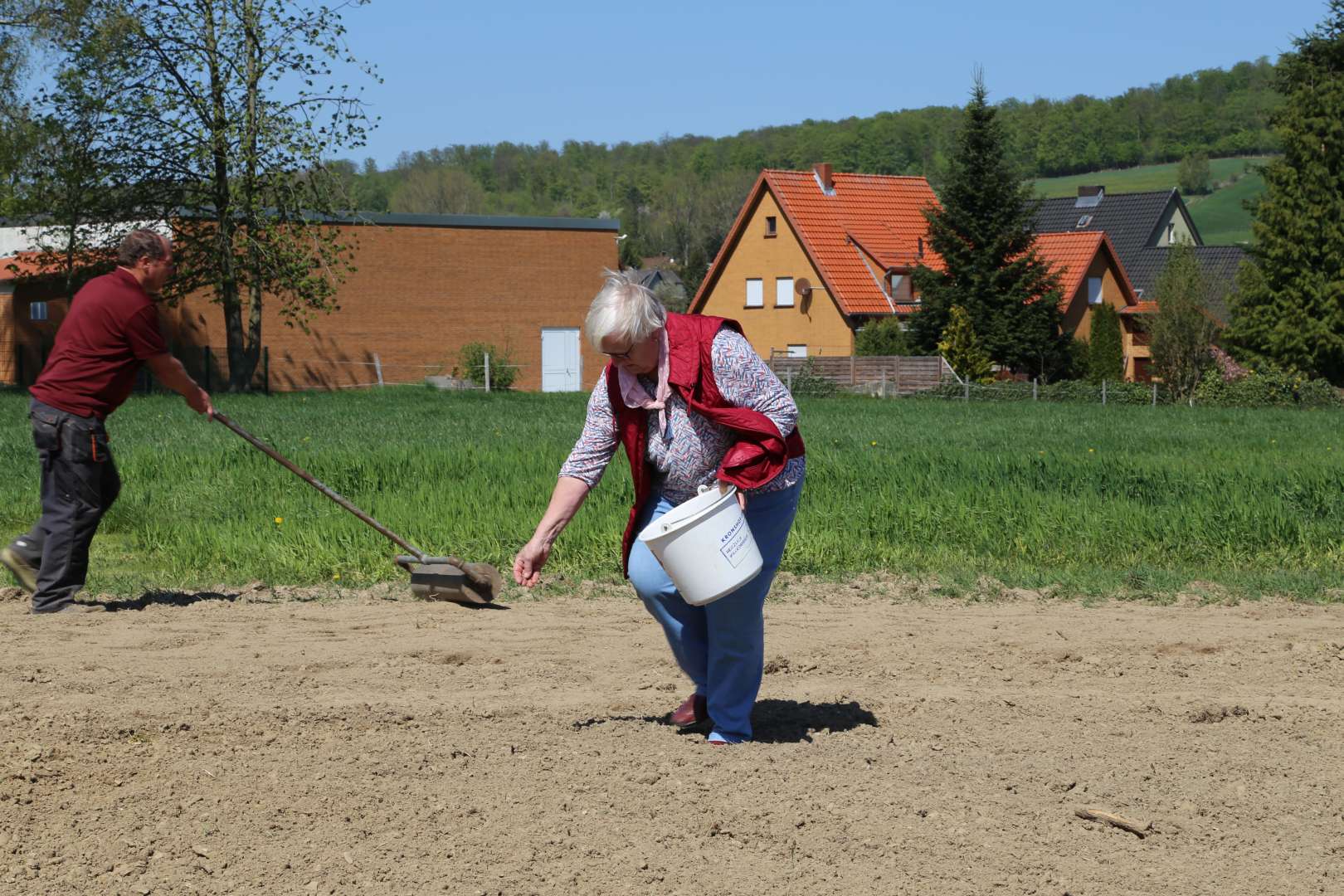 Aussaat auf der Blumenwiese