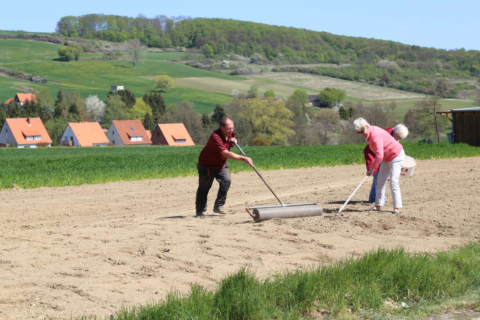 Aussaat auf der Blumenwiese