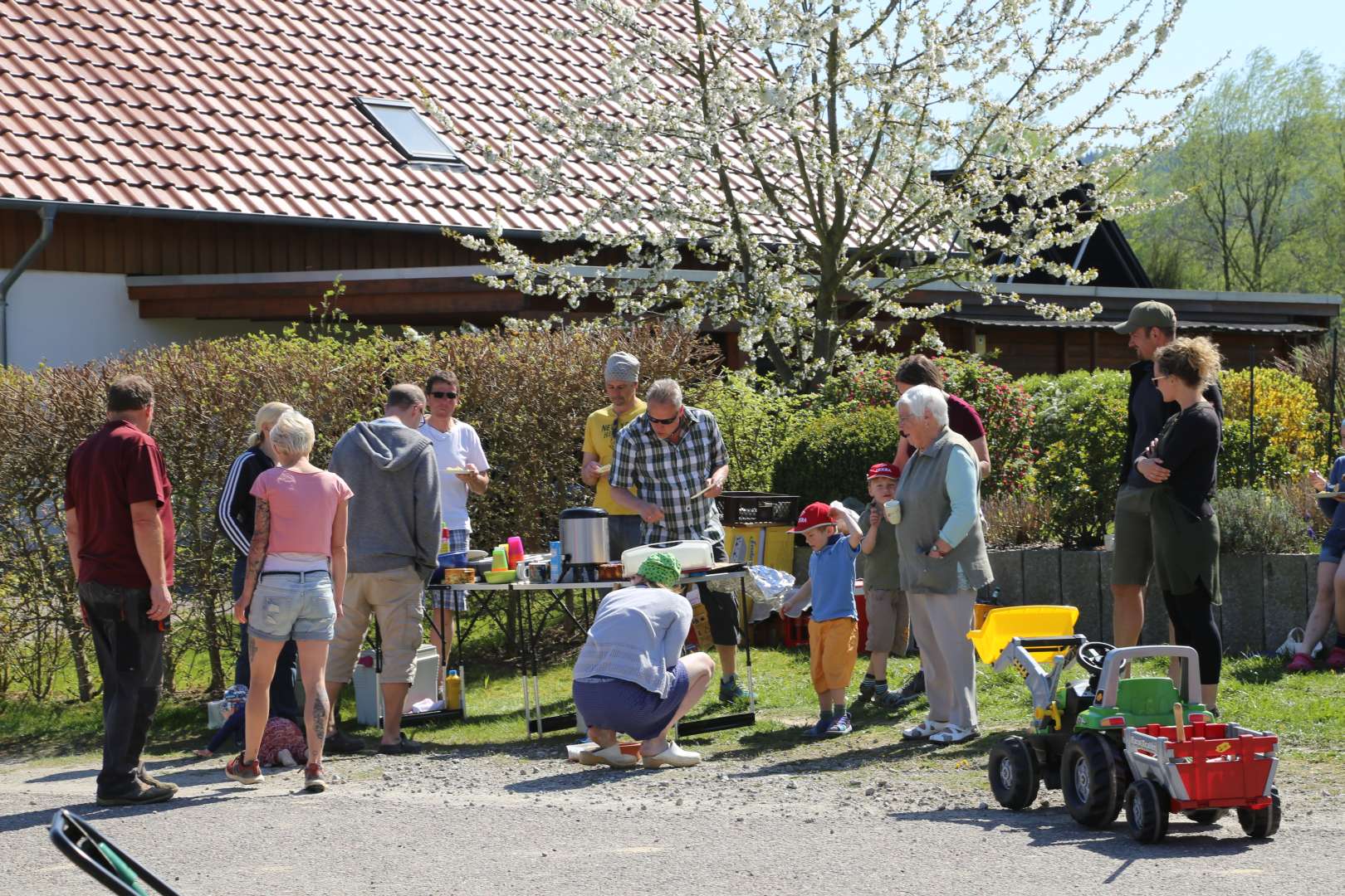 Aussaat auf der Blumenwiese