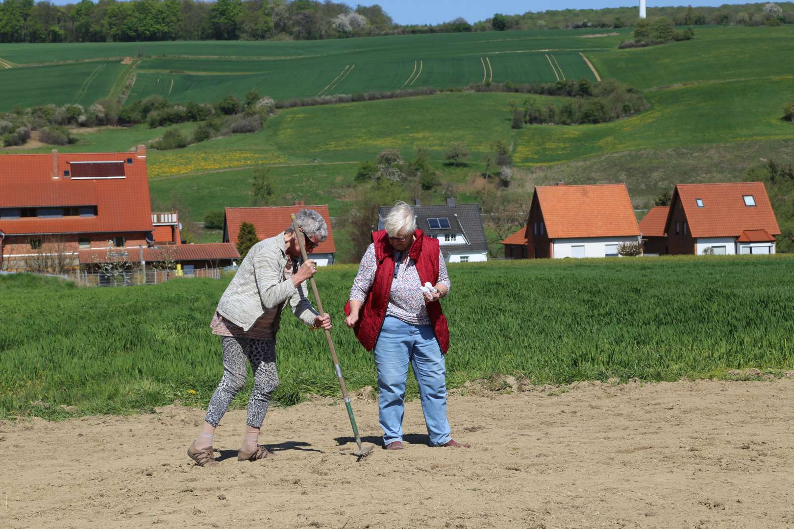 Aussaat auf der Blumenwiese