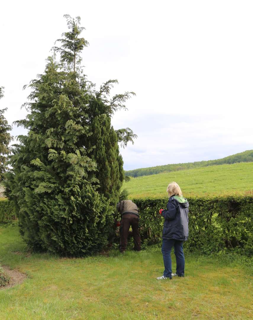 Arbeitseinsatz auf dem Friedhof Capellenhagen