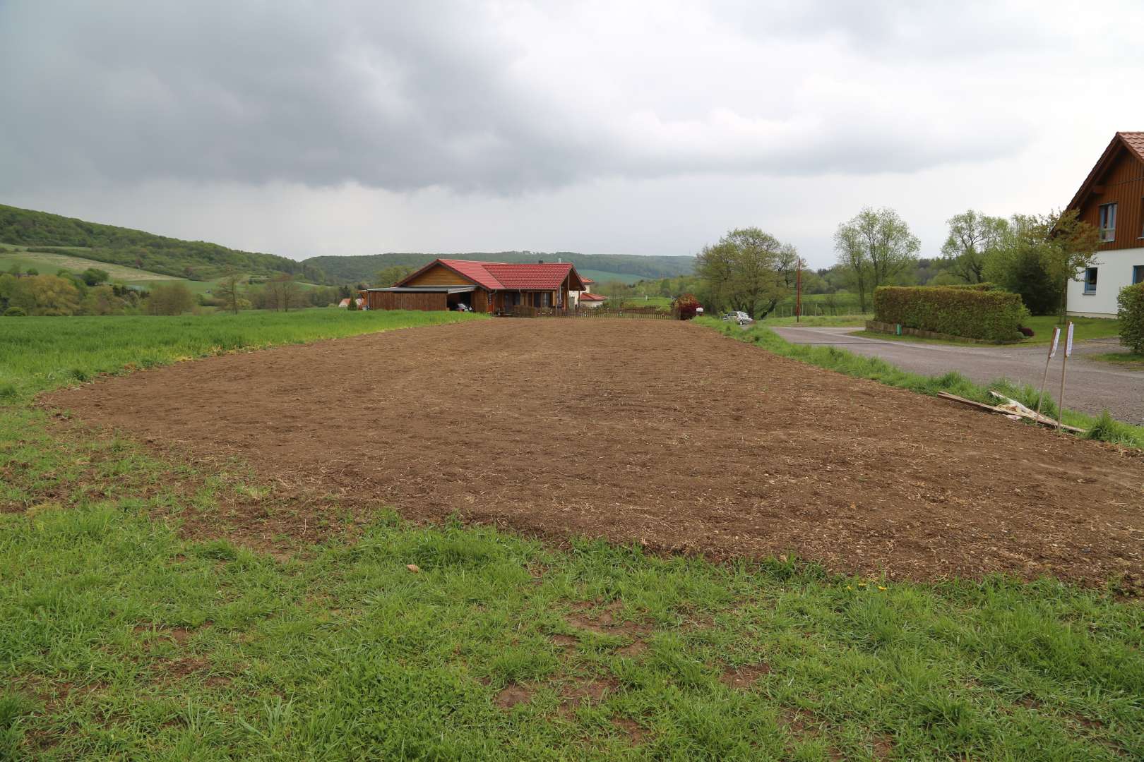 Coppengrave blüht auf: Die Blumenwiese nach zwei Wochen