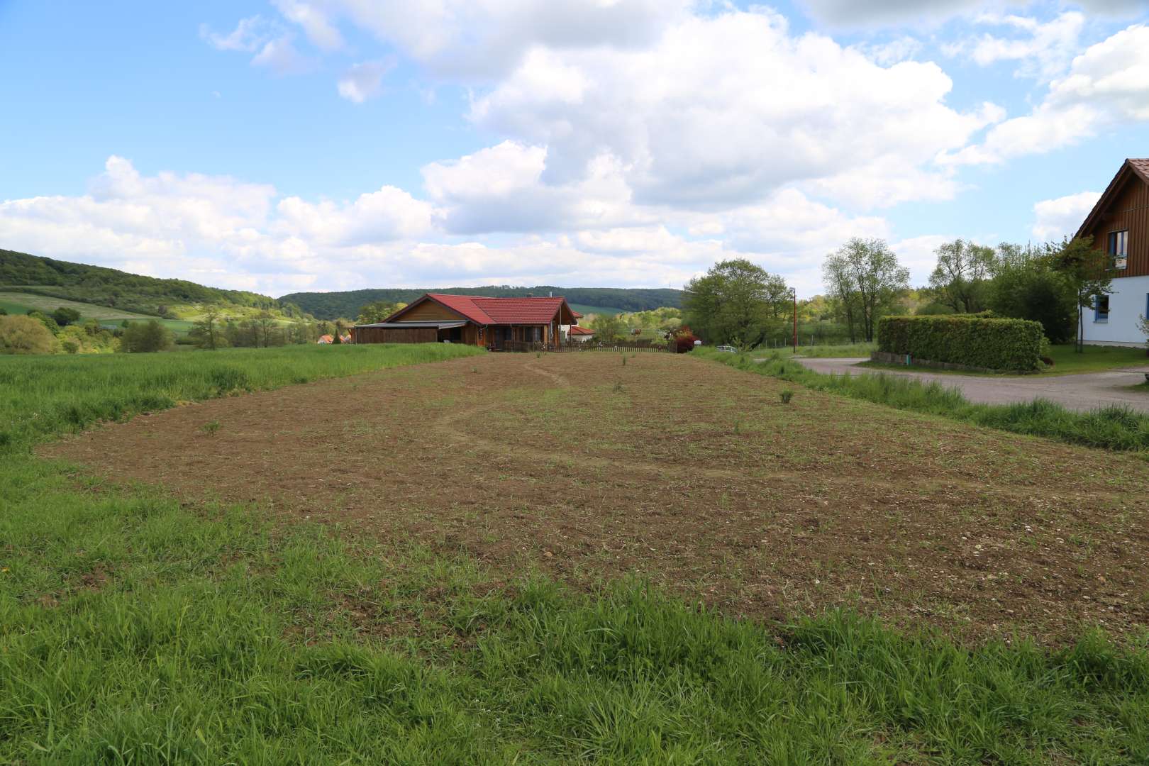 Coppengrave blüht auf: Die Blumenwiese nach zwei Wochen