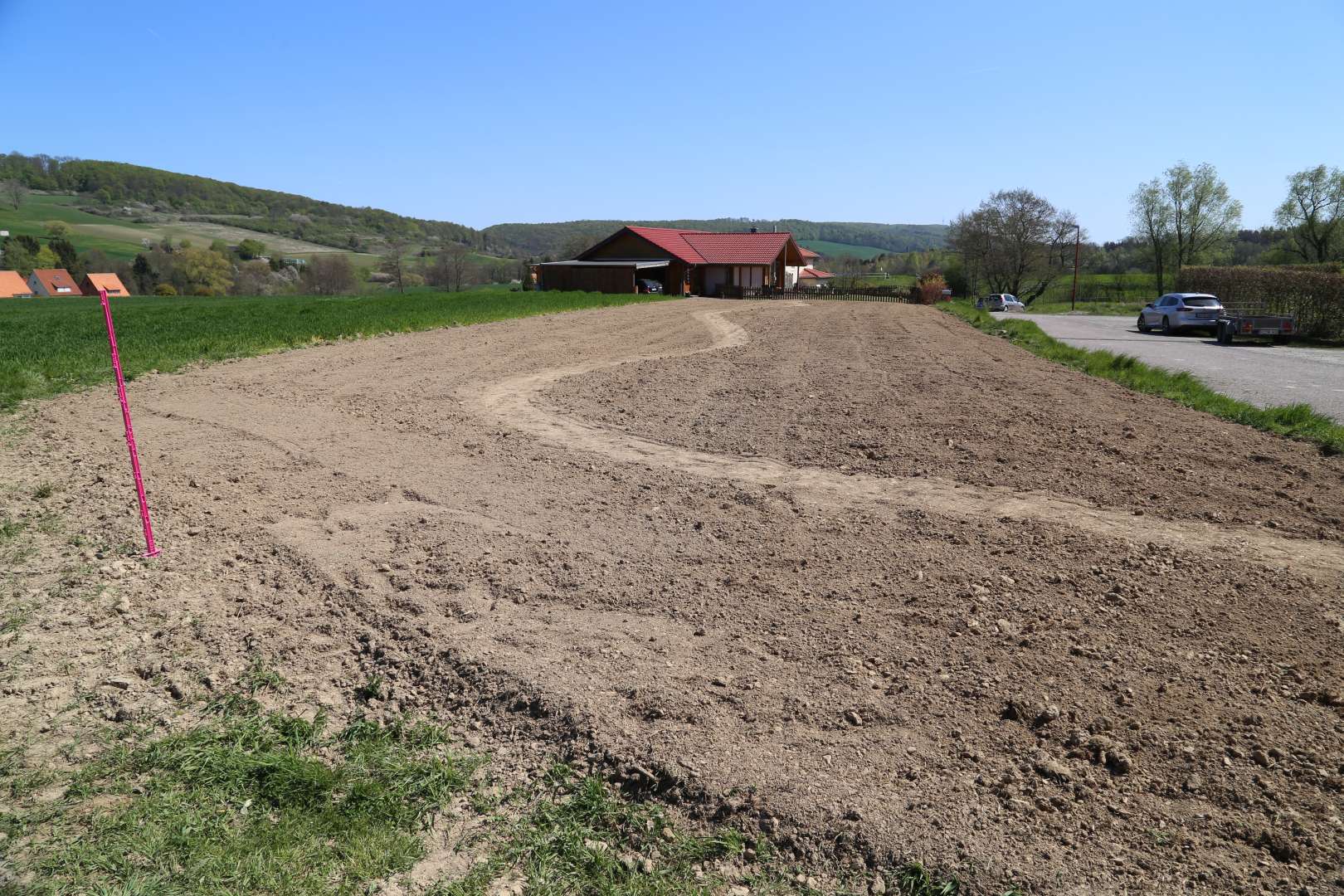 Coppengrave blüht auf: Die Blumenwiese nach vier Wochen