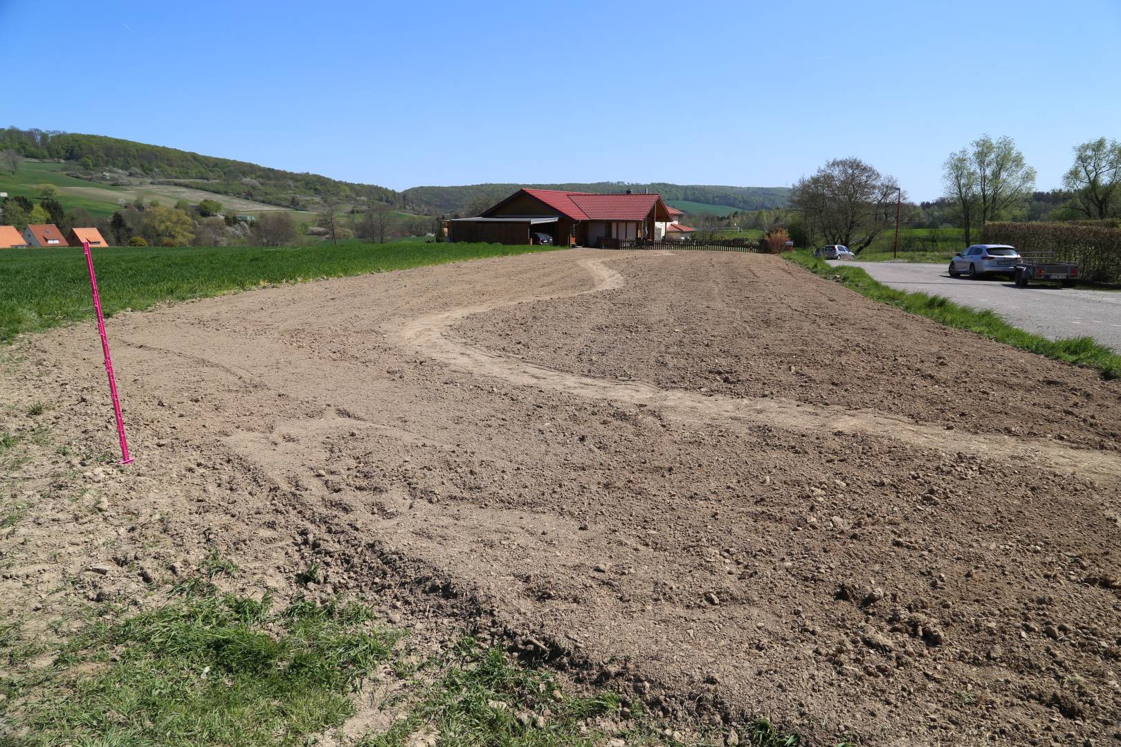 Coppengrave blüht auf: Die Blumenwiese nach sechs Wochen