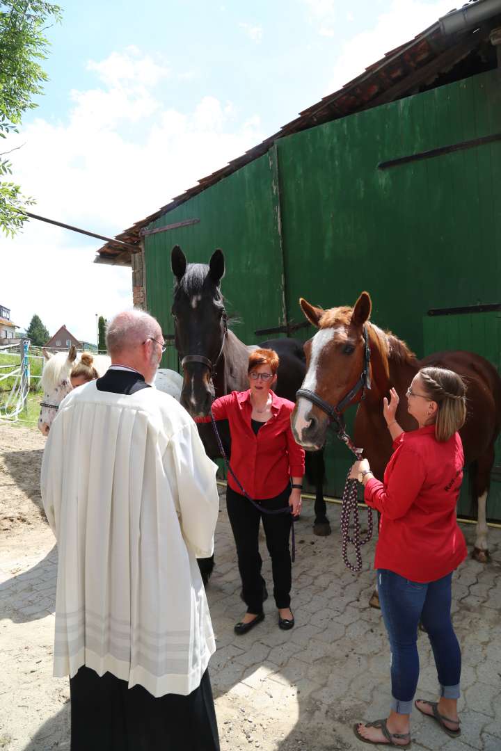 Ökumenischer Pfingstgottesdienst im Reitstall