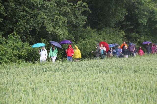 5. Taufengelwanderung von Bodenburg nach Wehrstedt