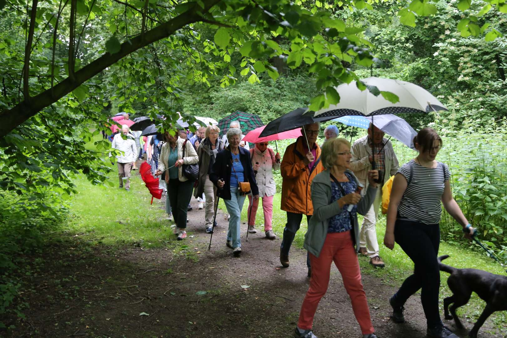 5. Taufengelwanderung von Bodenburg nach Wehrstedt