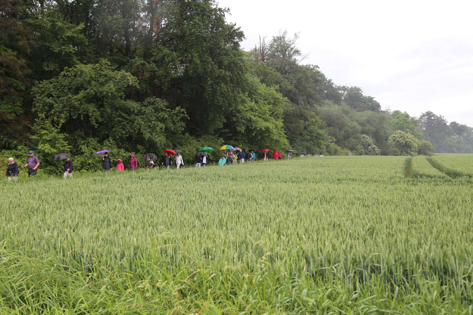 5. Taufengelwanderung von Bodenburg nach Wehrstedt