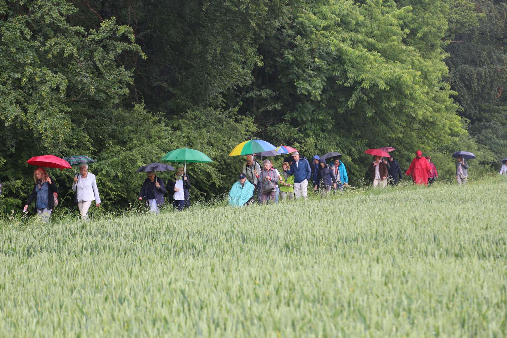 5. Taufengelwanderung von Bodenburg nach Wehrstedt