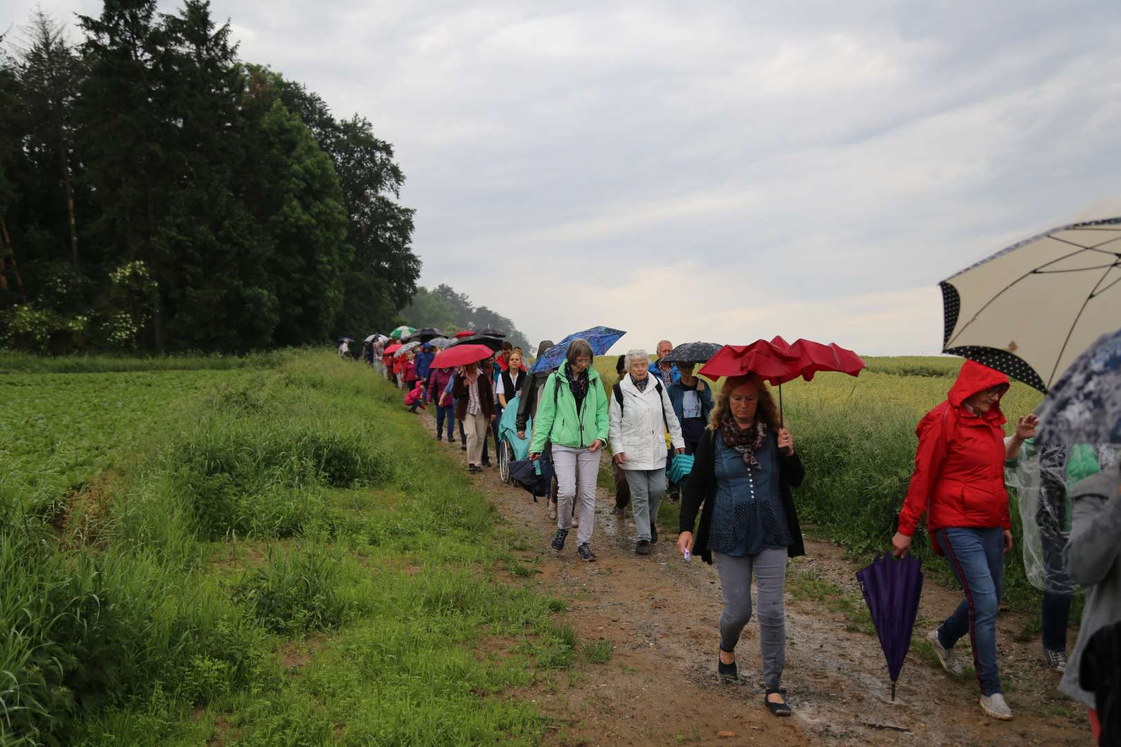 5. Taufengelwanderung von Bodenburg nach Wehrstedt