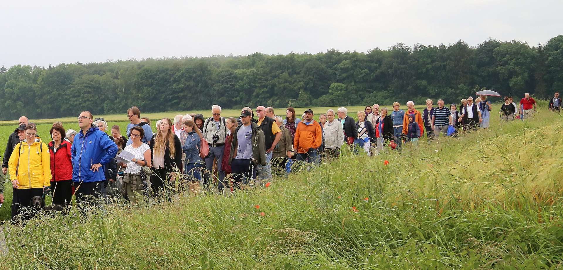 5. Taufengelwanderung von Bodenburg nach Wehrstedt