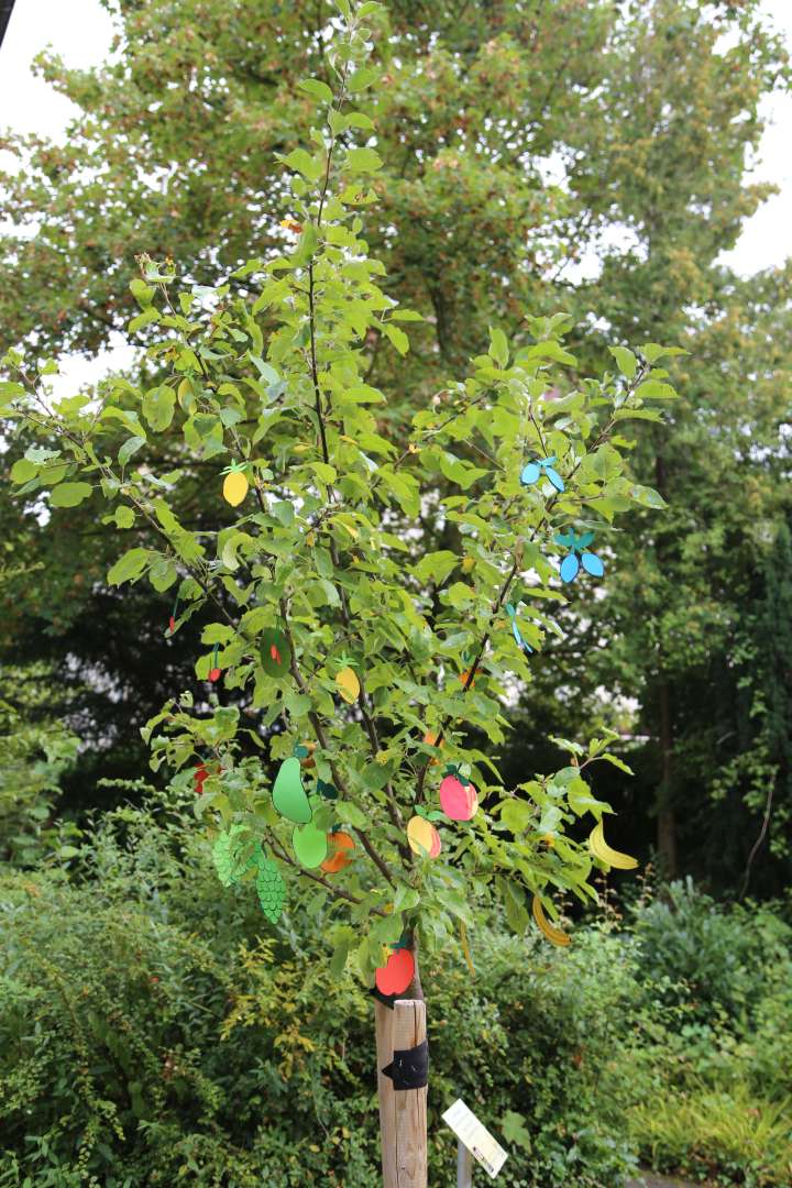 Sommerfest der Kirchengemeinde Coppengrave und der Kirchengemeinde Duingen