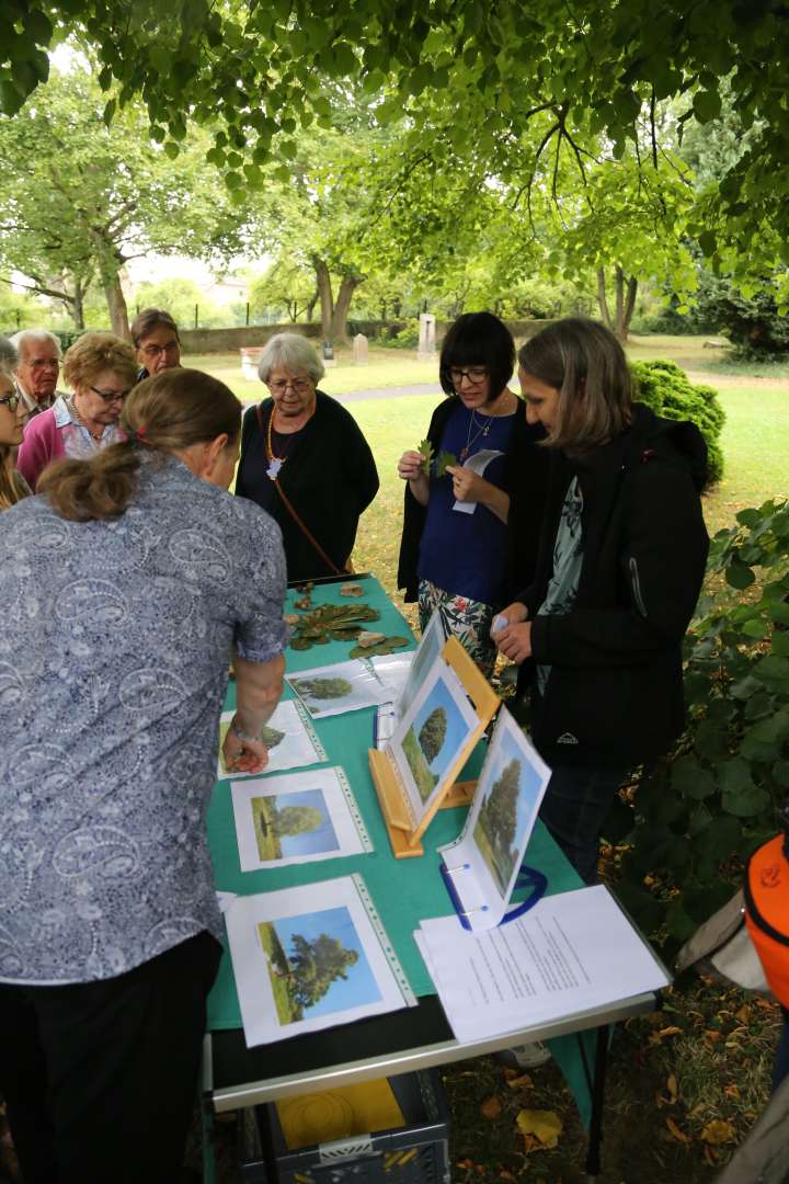 Sommerfest der Kirchengemeinde Coppengrave und der Kirchengemeinde Duingen