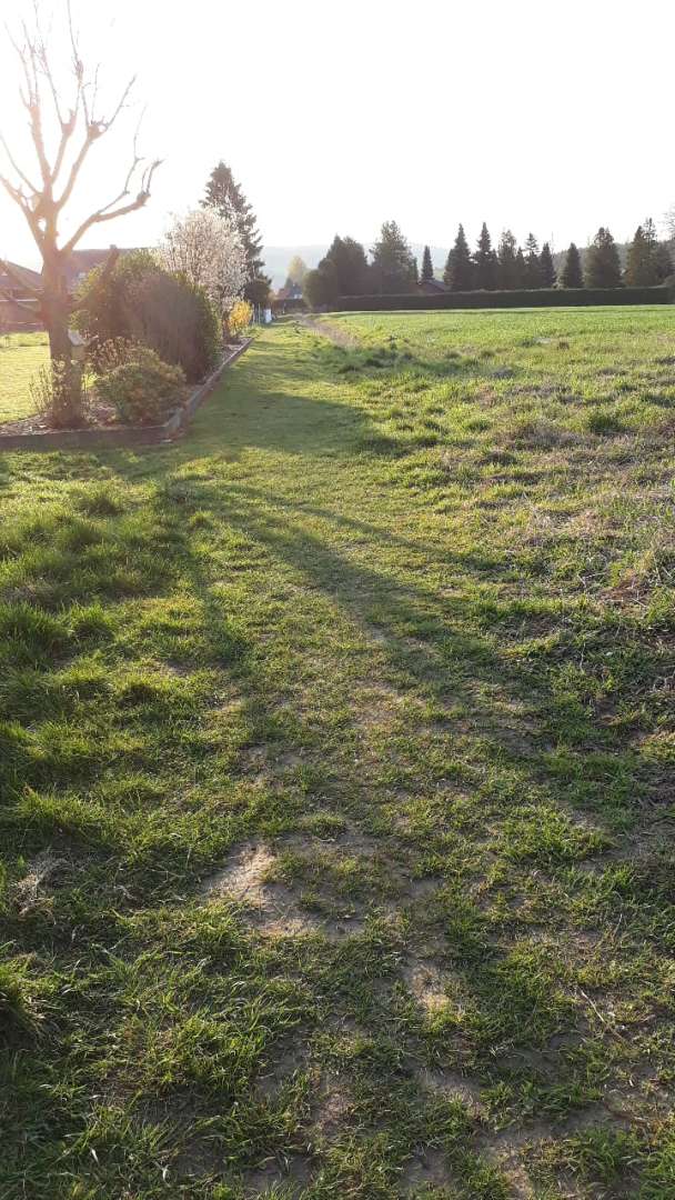 Impressionen vom Osterspaziergang