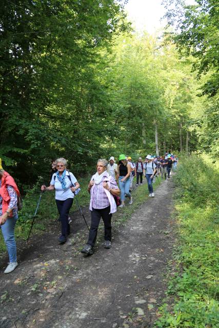 Pilgertag von Hoyershausen über Dehnsen nach Limmer