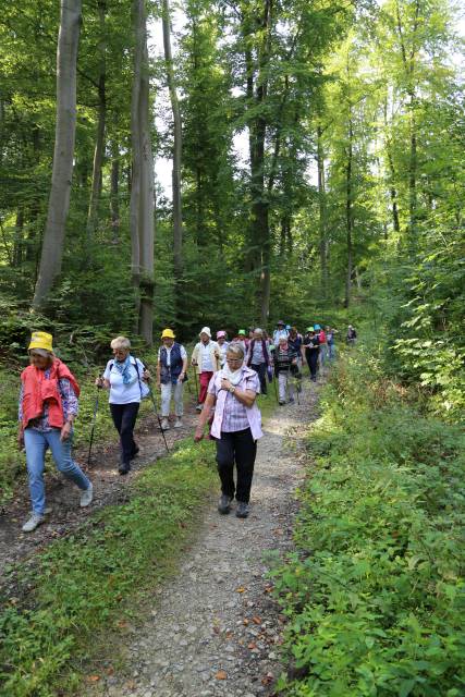 Pilgertag von Hoyershausen über Dehnsen nach Limmer