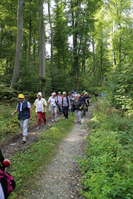 Pilgertag von Hoyershausen über Dehnsen nach Limmer