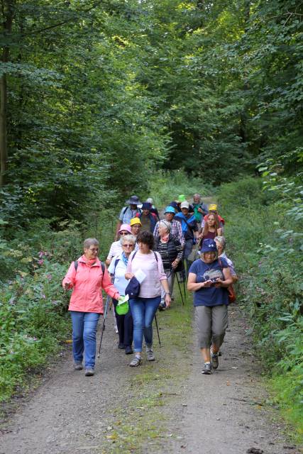 Pilgertag von Hoyershausen über Dehnsen nach Limmer