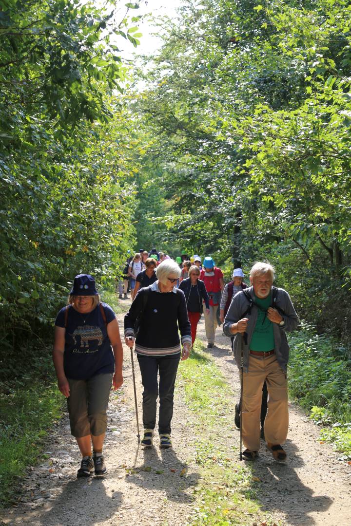 Pilgertag von Hoyershausen über Dehnsen nach Limmer