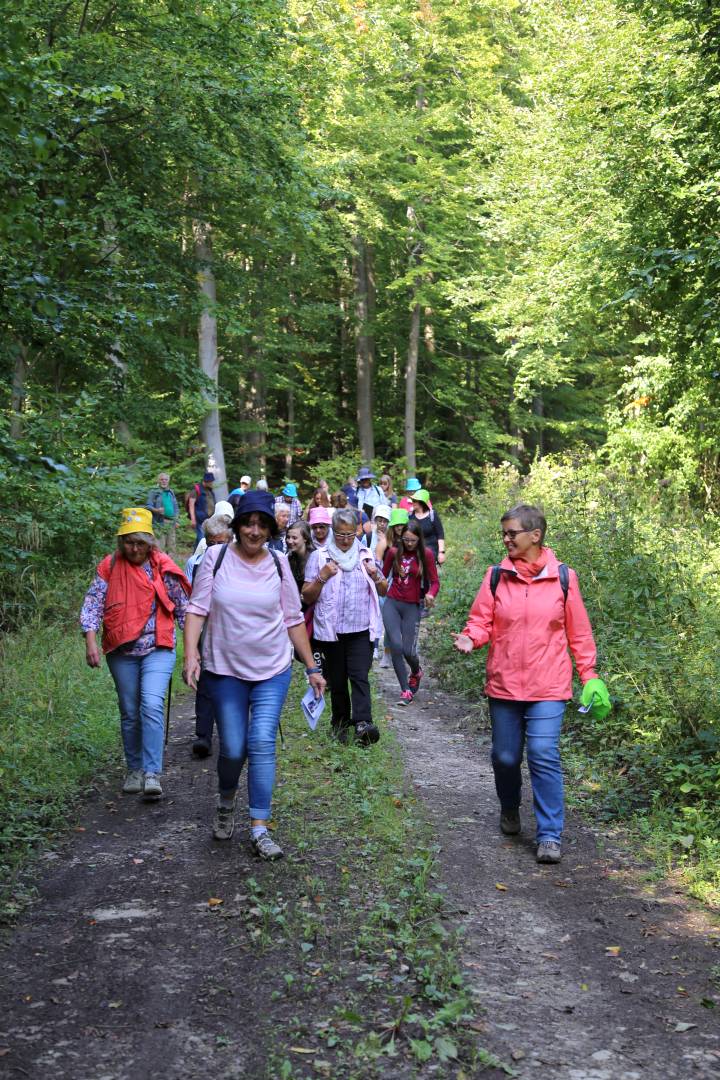 Pilgertag von Hoyershausen über Dehnsen nach Limmer