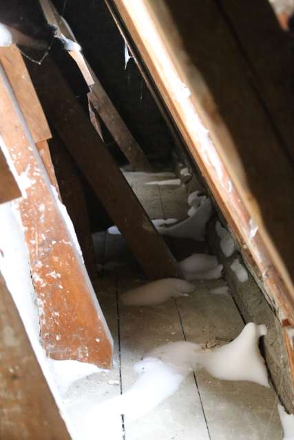 Flugschnee in der St. Franziskuskirche