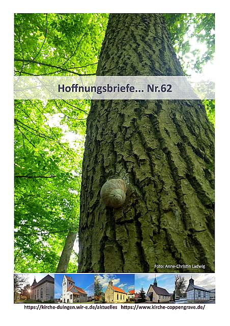 Hoffnungsbrief Nr. 62