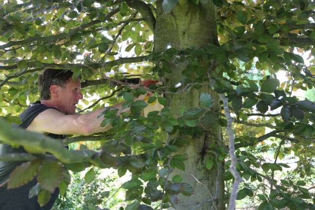 Biodiversität: Nistkästen für Insekten auf dem Friedhof Coppengrave