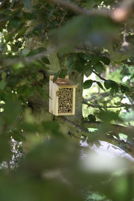 Biodiversität: Nistkästen für Insekten auf dem Friedhof Coppengrave