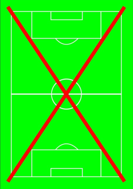 Fussballweltmeisterschaft