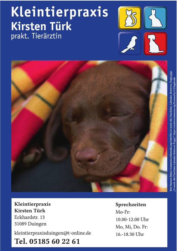 Gemeindebrief Juni - August 2026